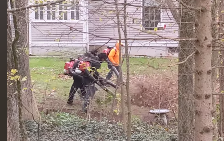 Fossil fuel powered leaf blowers UGH! 😫